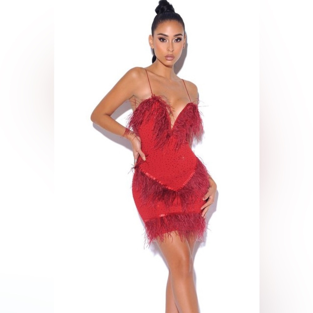 Red Crystal and Feather Embellished Mini Dress - NWT